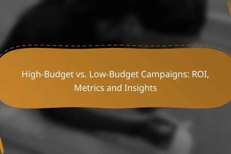 High-Budget vs. Low-Budget Campaigns: ROI, Metrics and Insights