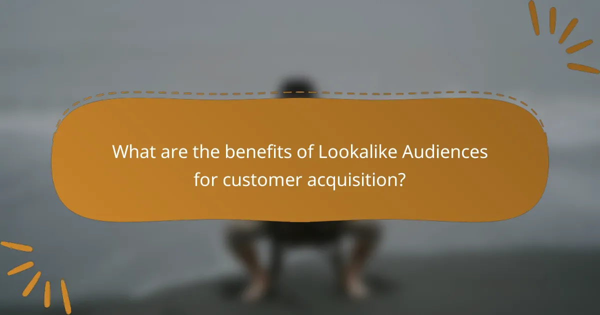 What are the benefits of Lookalike Audiences for customer acquisition?