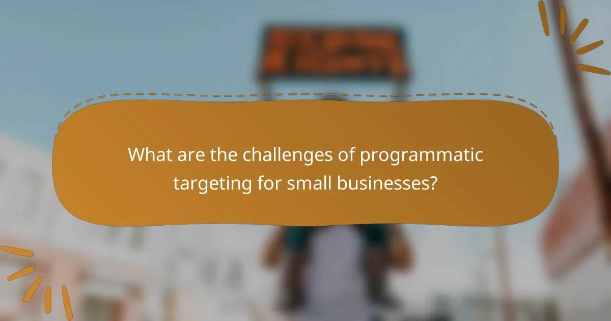 What are the challenges of programmatic targeting for small businesses?
